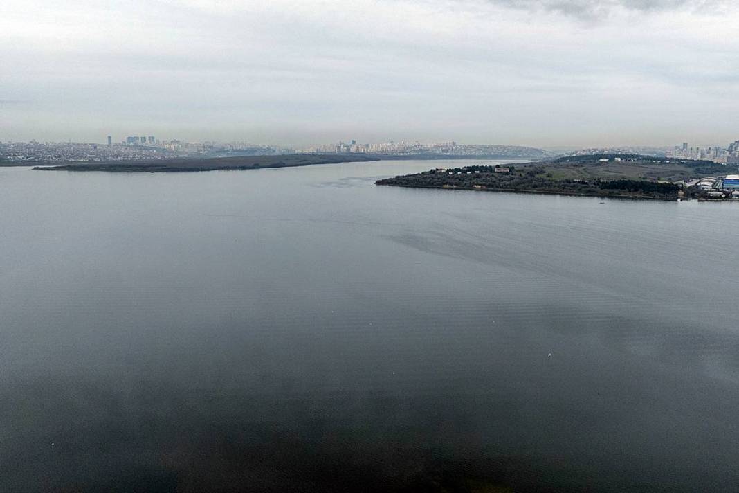 İstanbul'da buradan tutulan balıkları sakın yemeyin! Suda oksijen kalmadı, ağır metal ve pestisit var 11